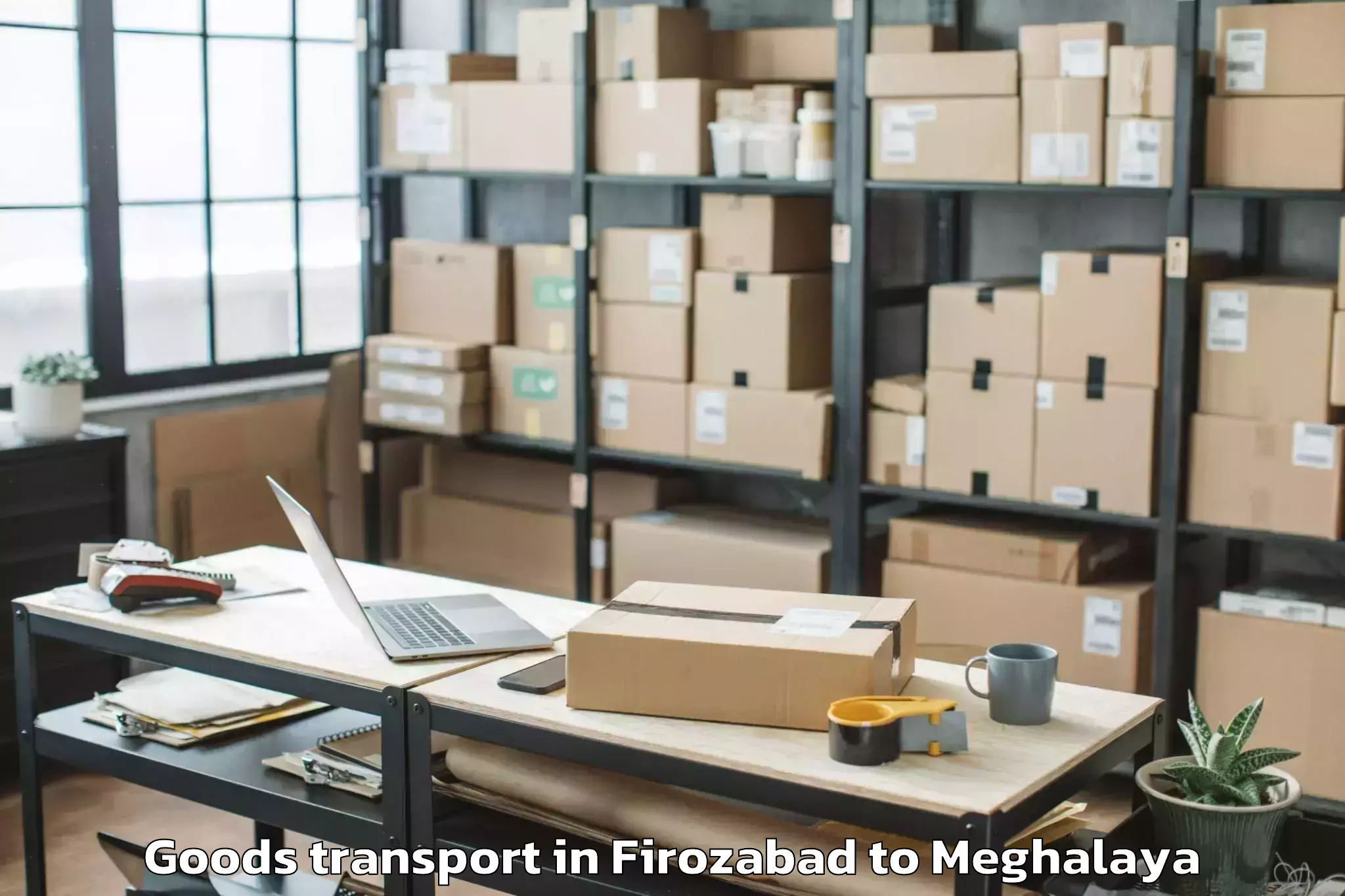 Professional Firozabad to Mairang Goods Transport